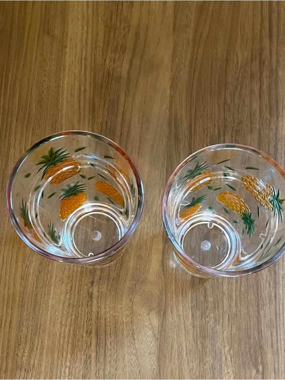 Pineapple Embossed Thick Acrylic Pint Tumbler Glasses Tropical Pool Bar Party
